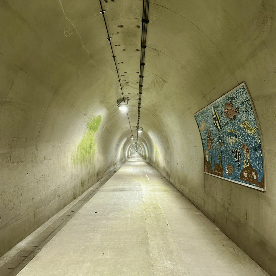 えひめ・愛南町】日常から抜け出せるトンネル｜SHIOとんび