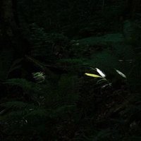 Cake By The Ocean ケークバイジオーシャン 洋楽和訳 Musk Note
