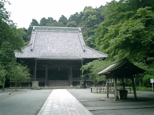 03_06.06.15鎌倉_妙本寺_梅雨の季節