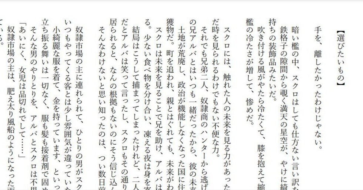 初売り 福袋 選びたいもの（オリジナル短編小説）｜いちみ その他