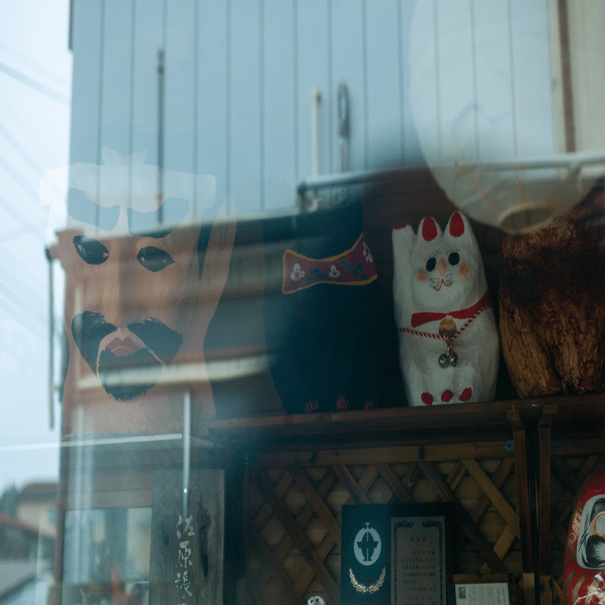 鎌田さんの招き猫を写す｜kuno_yasuhiro