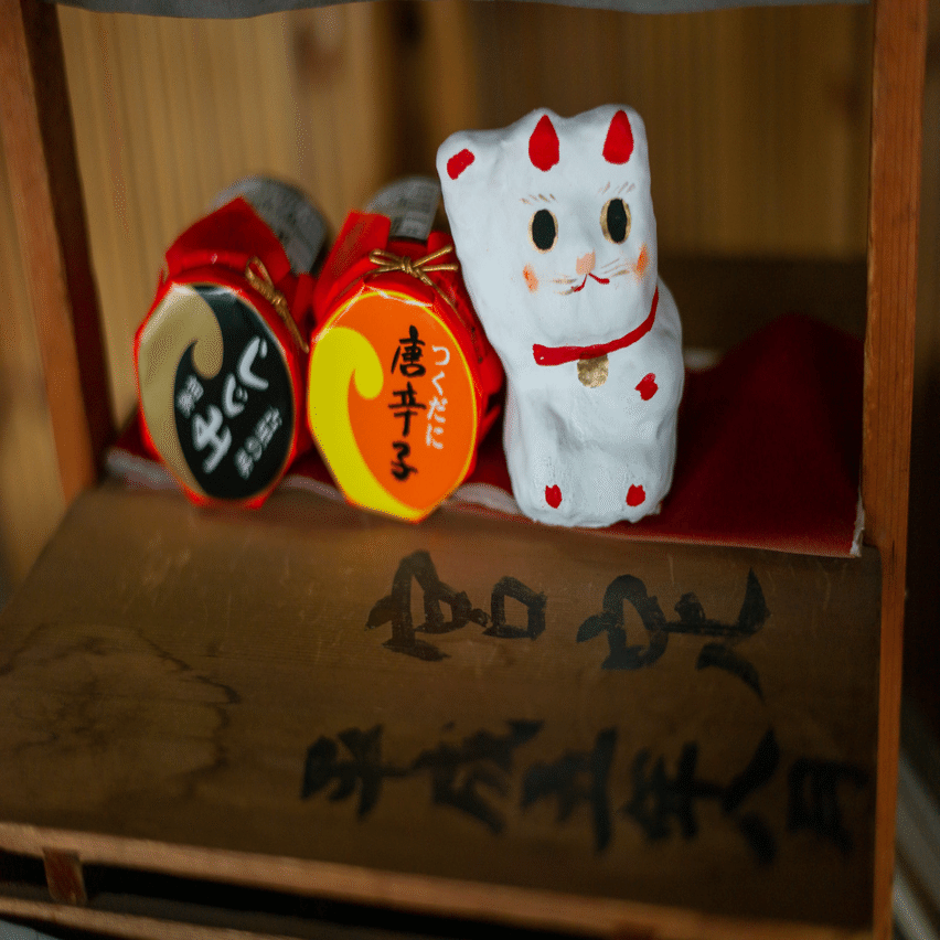 鎌田さんの招き猫を写す｜kuno_yasuhiro