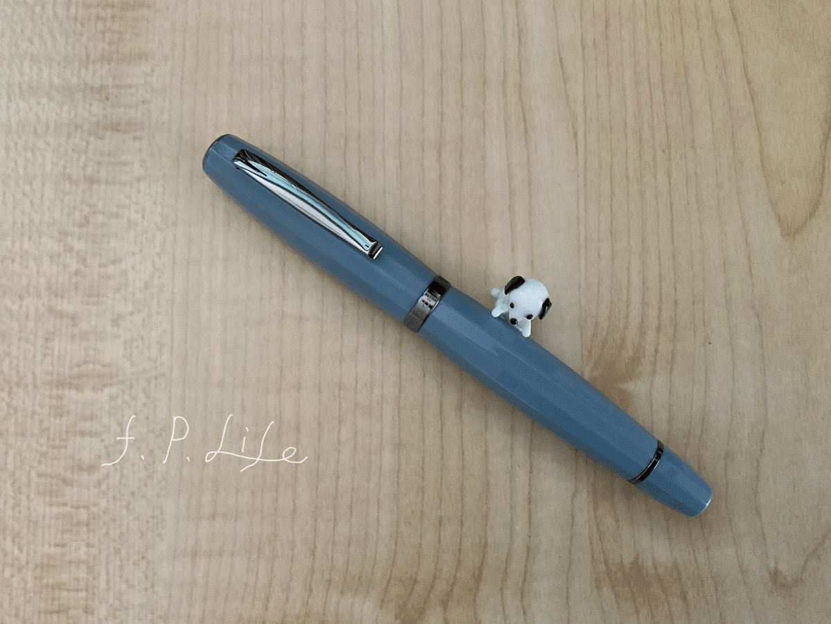 専用【美品/限定】 万年筆 SCRIBO フィール 字幅M フレックス