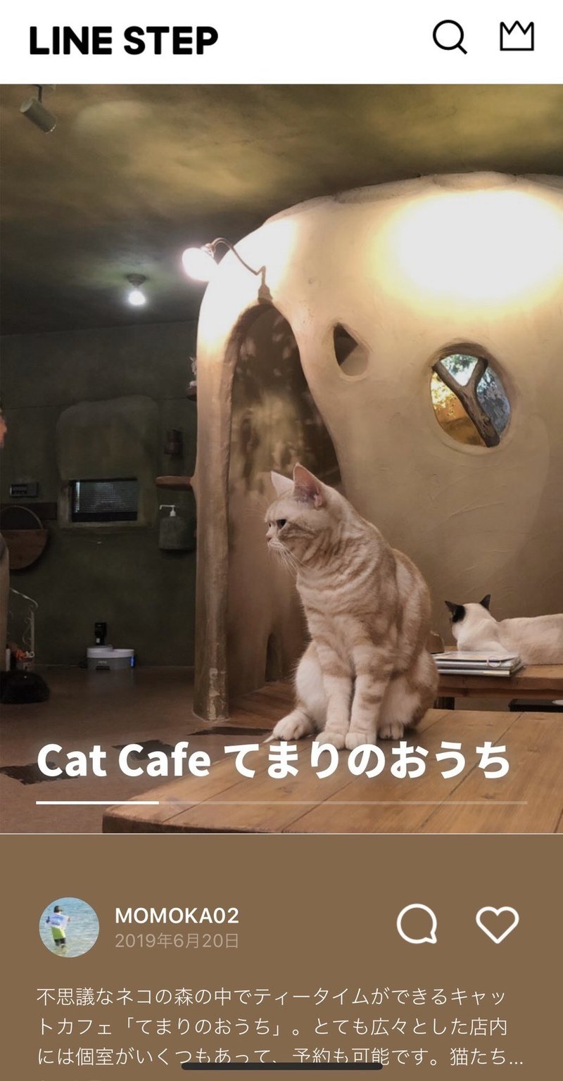 可愛い 癒し 都内で絶対おさえたい動物カフェ5選 今週のおすすめstep Line Step サービス終了 Note 可愛い 癒し 都内で絶対おさえたい動物カフェ5選 今週のおすすめstep Line Step サービス終了 Note