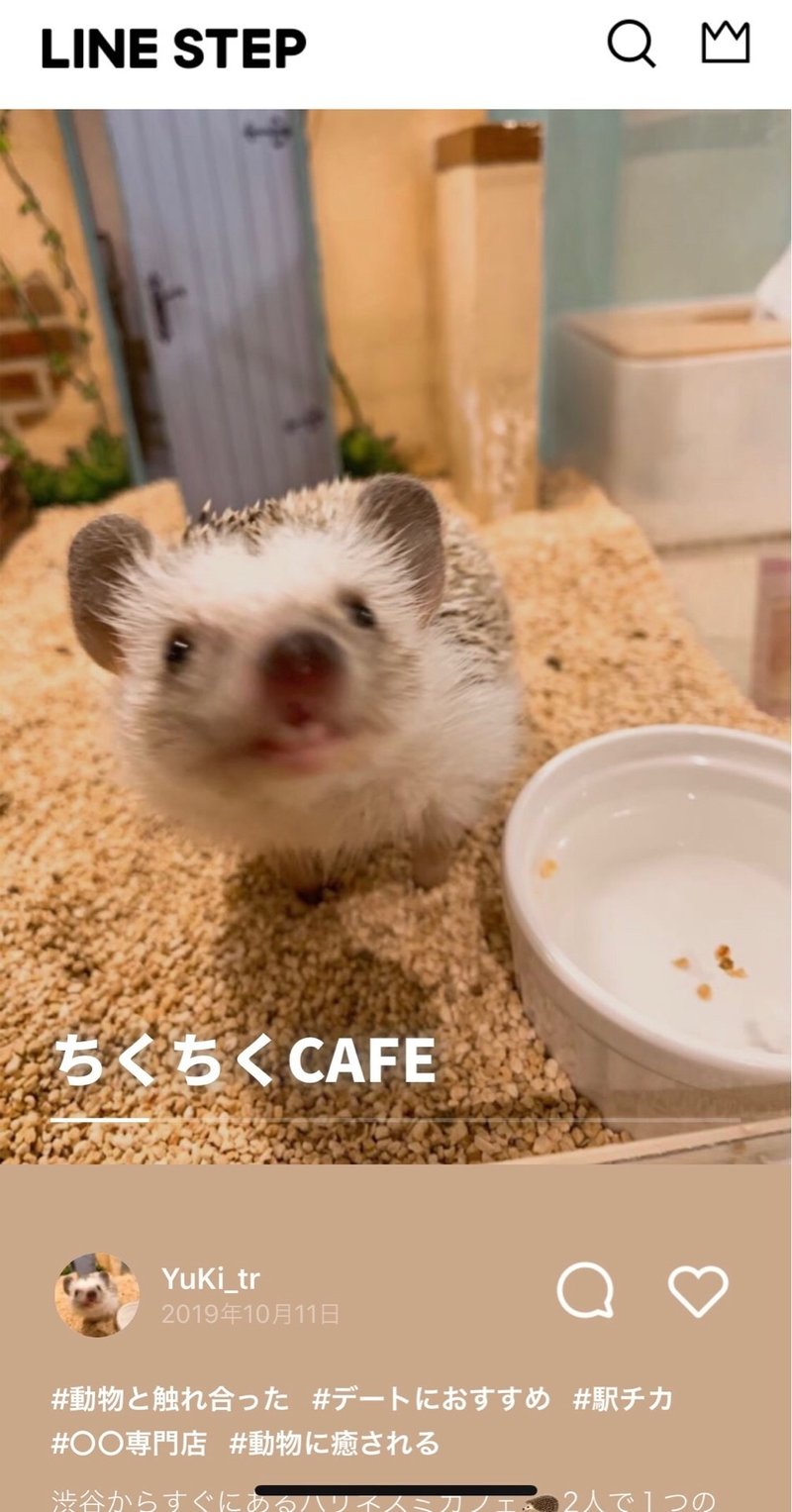 可愛い 癒し 都内で絶対おさえたい動物カフェ5選 今週のおすすめstep Line Step サービス終了 Note 可愛い 癒し 都内で絶対おさえたい動物カフェ5選 今週のおすすめstep Line Step サービス終了 Note