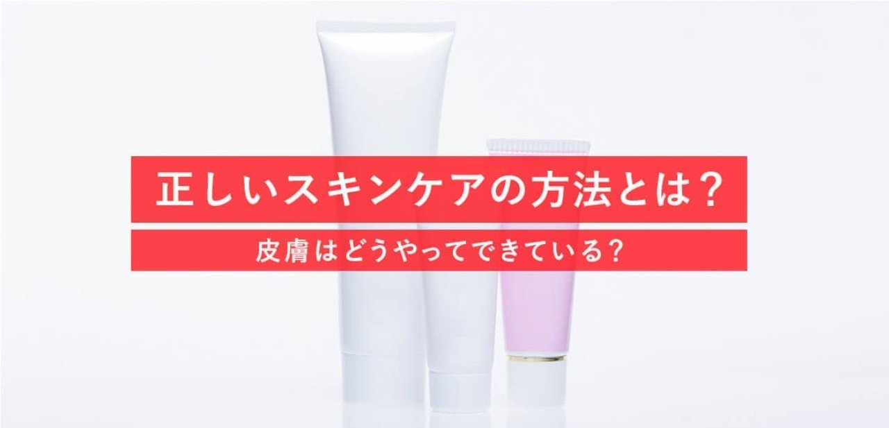 正しいスキンケアの方法とは 皮膚はどうやってできている Clinic For Note