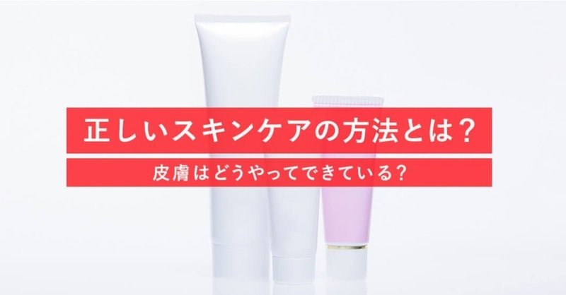 正しいスキンケアの方法とは 皮膚はどうやってできている Clinic For Note