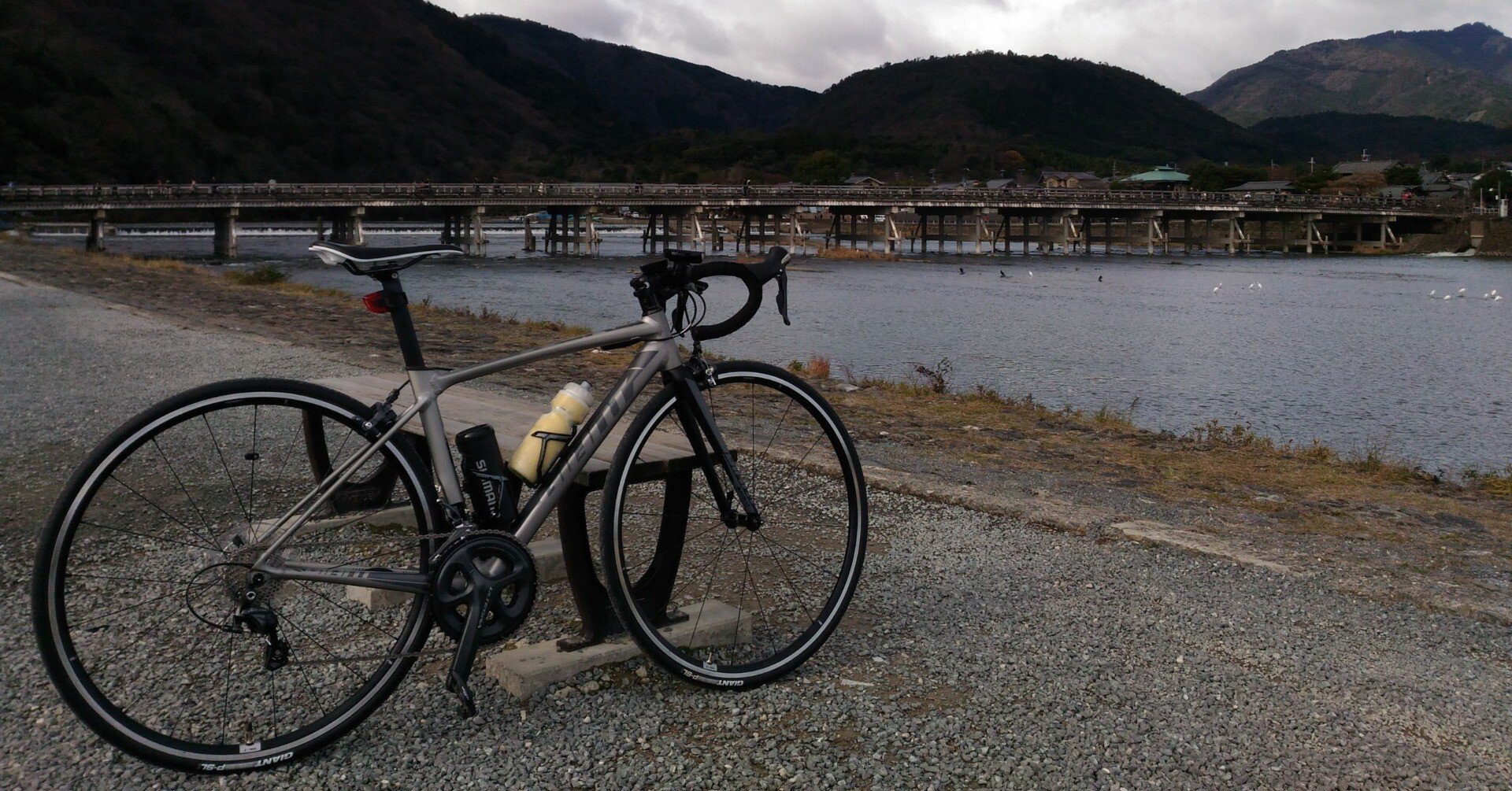 私と愛車の物語 その17 GIANT TCR SLR1 2017｜アンジー