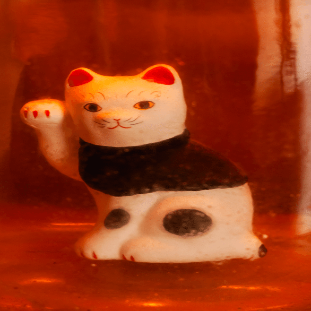 鎌田さんの招き猫を写す｜kuno_yasuhiro