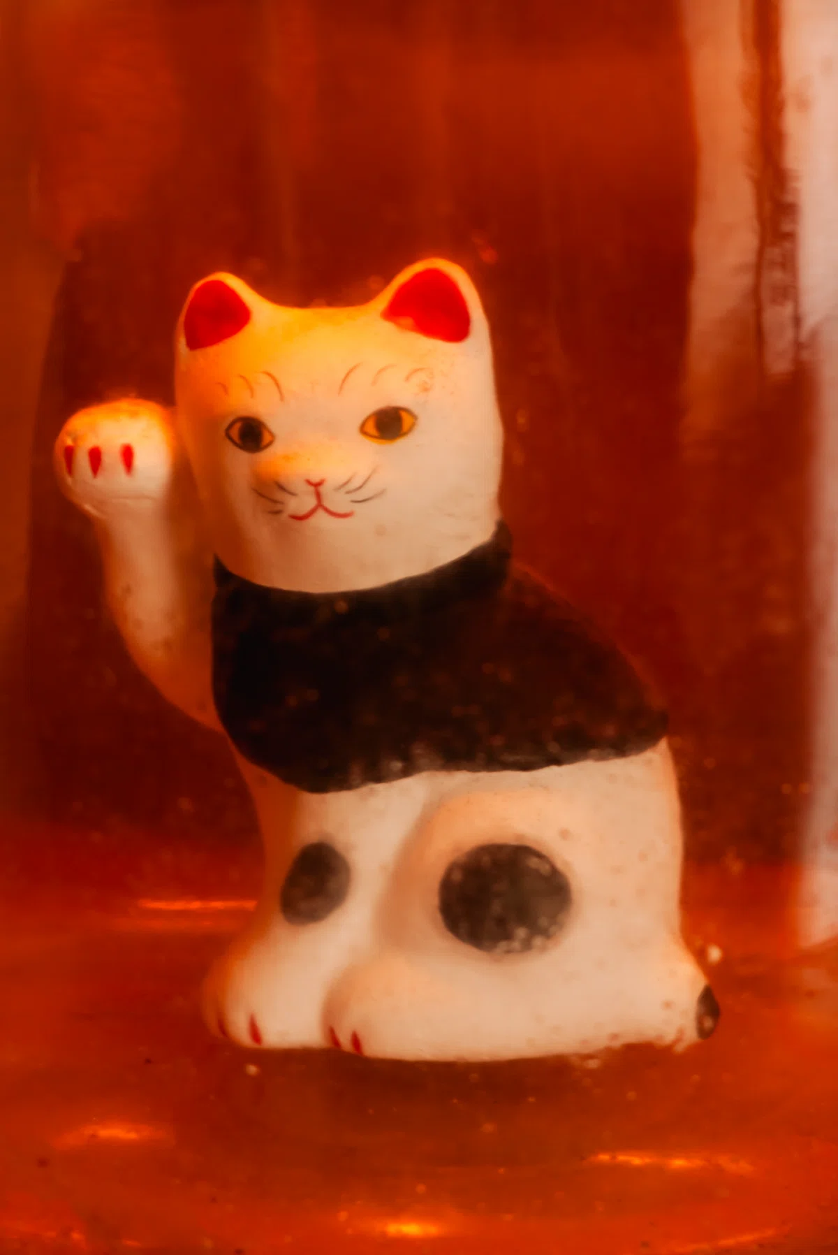 鎌田さんの招き猫を写す｜kuno_yasuhiro