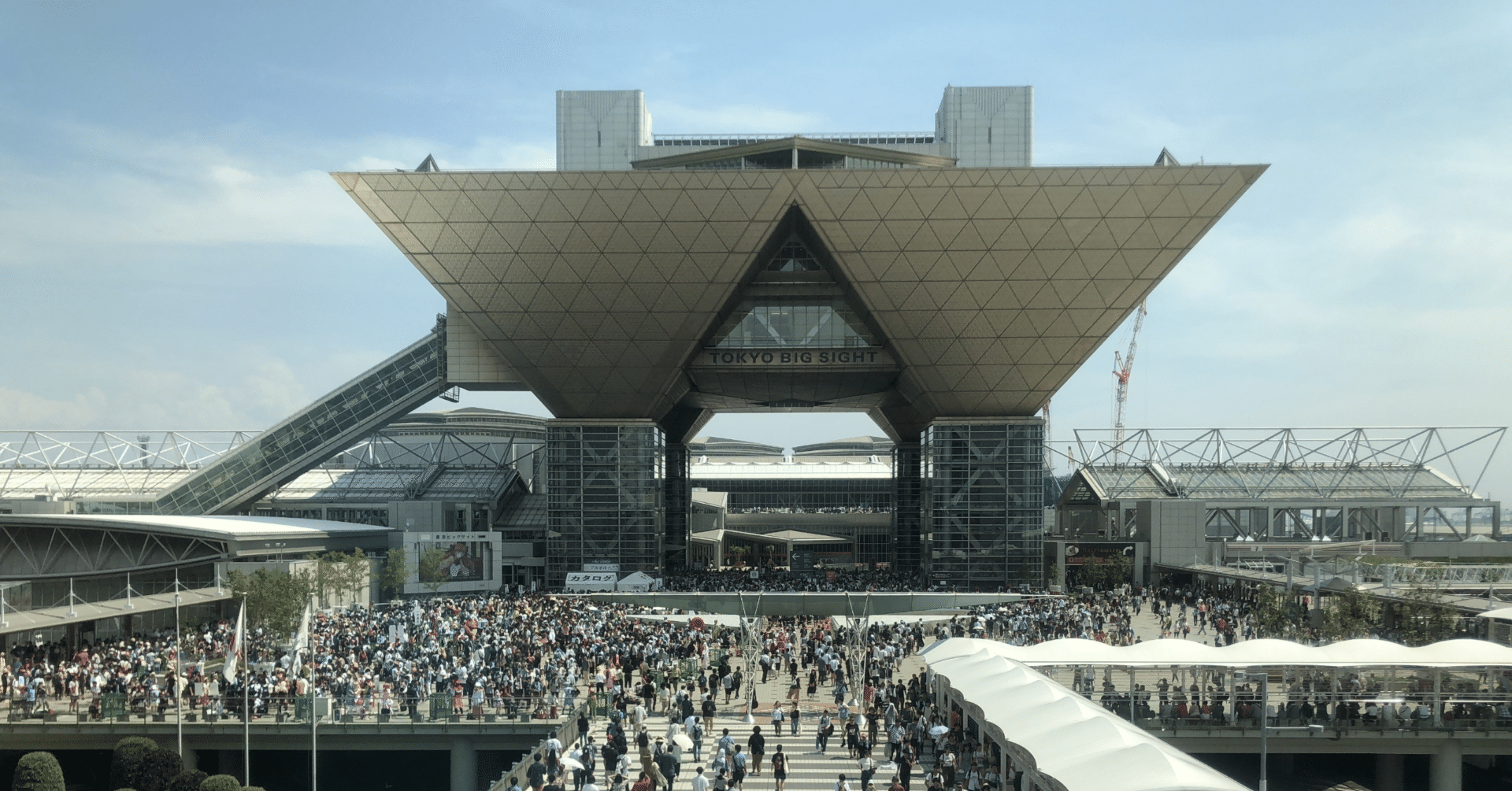 系統用蓄電池ビジネスに参入する企業の動向と事例解説｜事業の「芯」を見抜く人。 飯田欽次