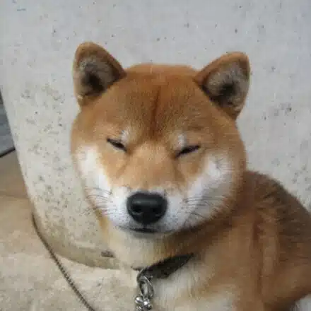 てつ