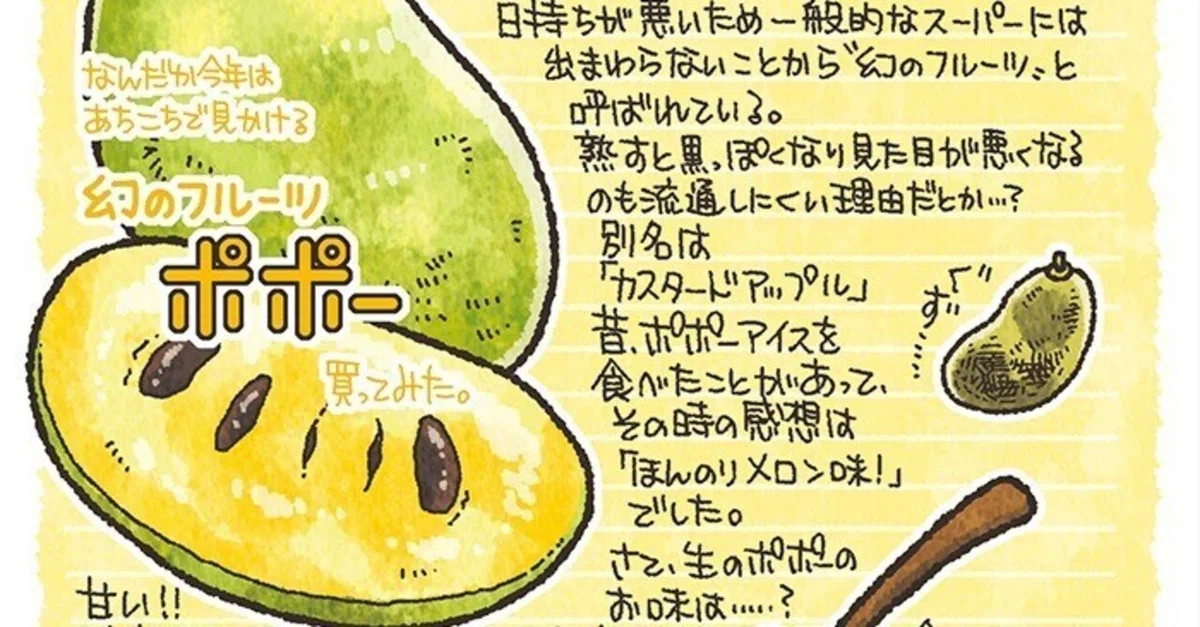 幻のフルーツ「ポポー」を食べてみた｜夏福@イラストレーター