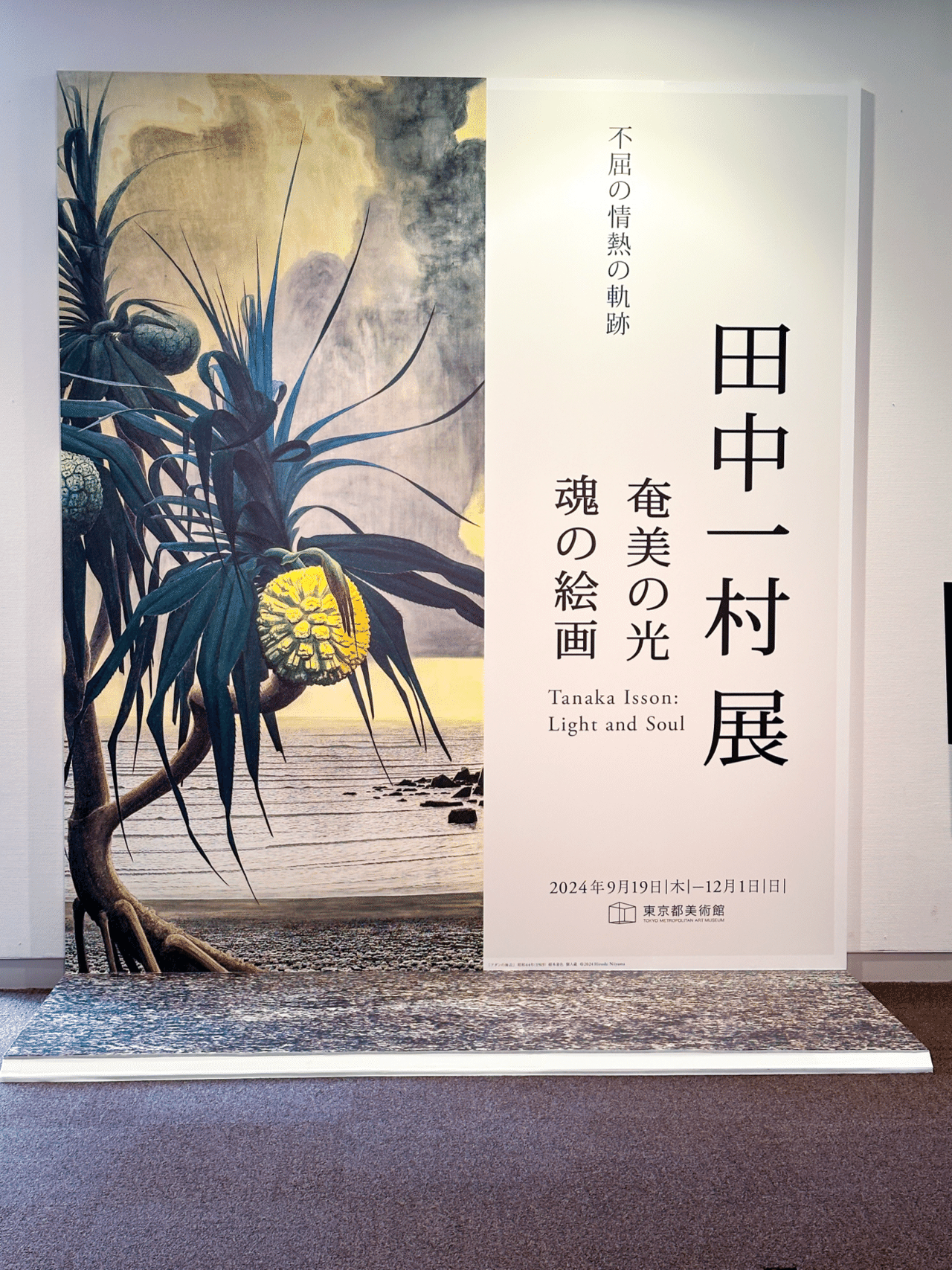 摸写】田中一村〇岩彩画○日本画○画題「南天牡丹」