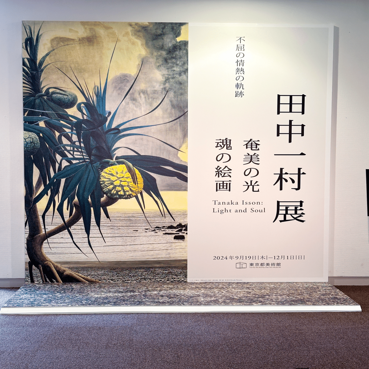 田中一村展でアダンの菓子を売ってないことに首をひねったはなし