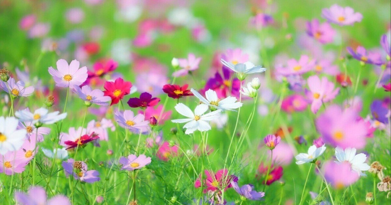 神を知ること｜バイブルライン