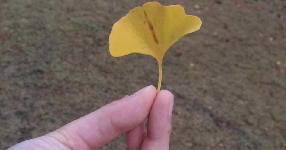 名前で呼んでほしいの Little Flower Note