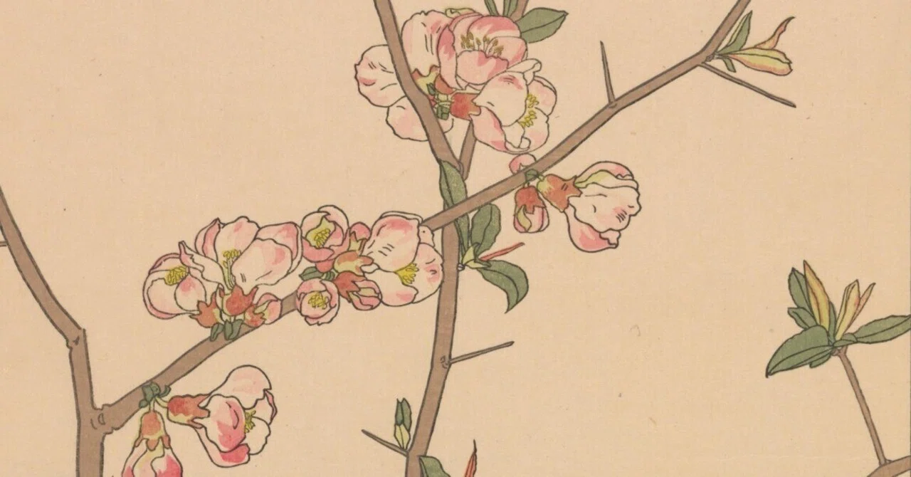 非水百花譜 第1輯｜日本花卉文化株式会社
