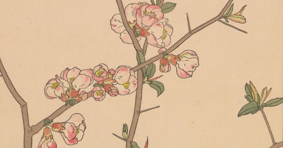 非水百花譜 第1輯｜日本花卉文化株式会社