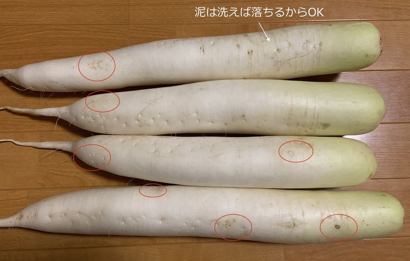 悪態をつきながら大根を抜く日々 売り先のない大根をなんとかしたい 瑛然 Note