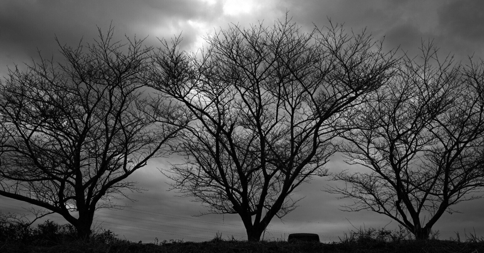 SIGMA fp L STILL | たまにはモノクロもいいよねっていう話｜Ento