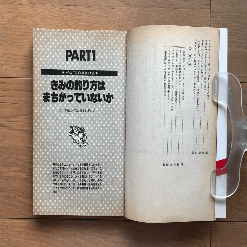 まちがいだらけのバッシング｜銀漢堂書林