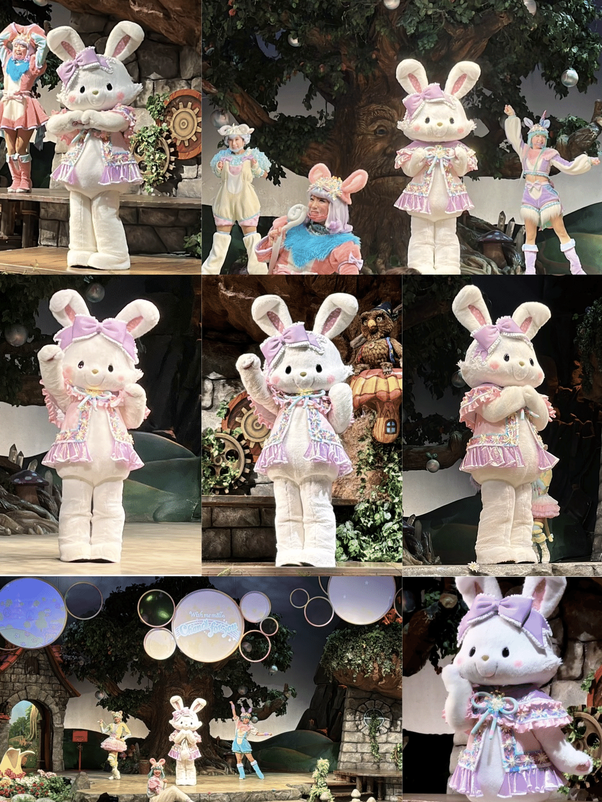 Chance for you DVD ウィッシュミーメル 倉木麻衣 【4K