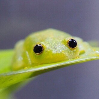 おんちゃば@FP1級 #行動経済学