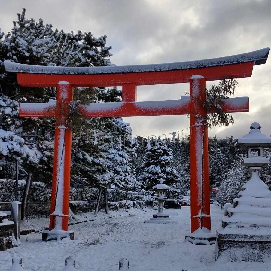京都大学 理学研究科 物理学第一分野 院試体験記｜湯呑