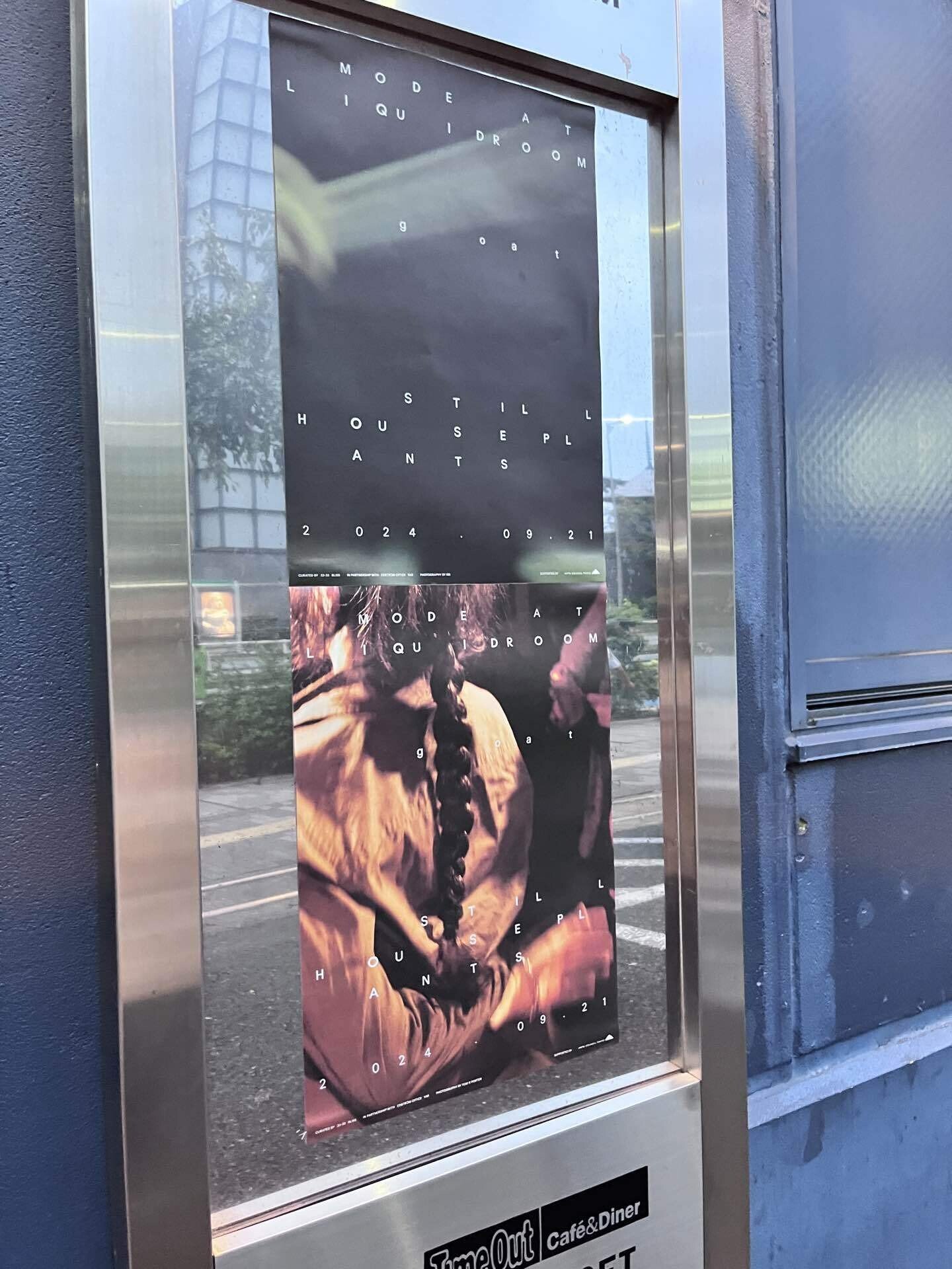 【未開封】【レコード】Still House Plants Fast Edit 創作進化論、音楽は飛ぶことができるか 〜Still House Plantsと南極