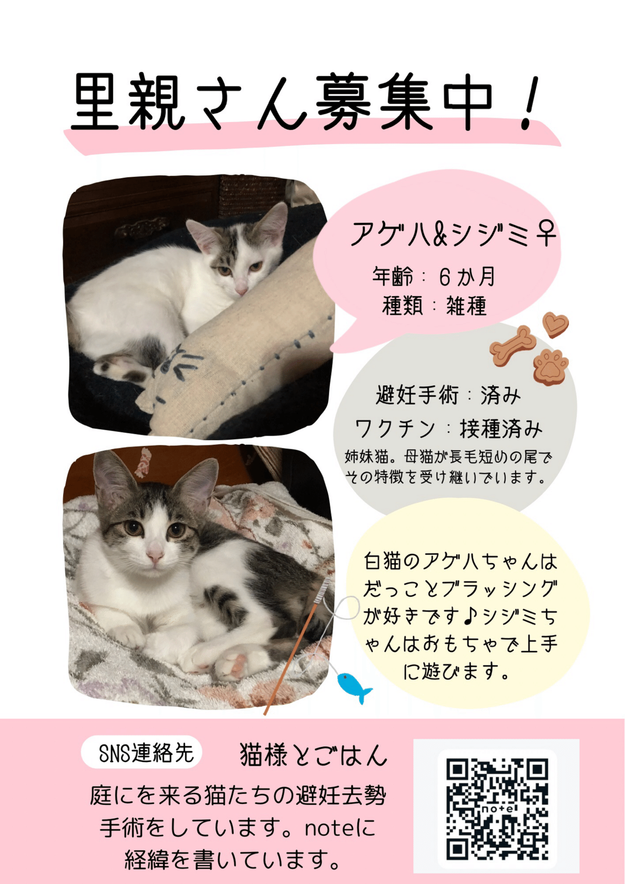 猫の虎様 リクエスト 2点 まとめ商品 猫の虎様 リクエスト 2点