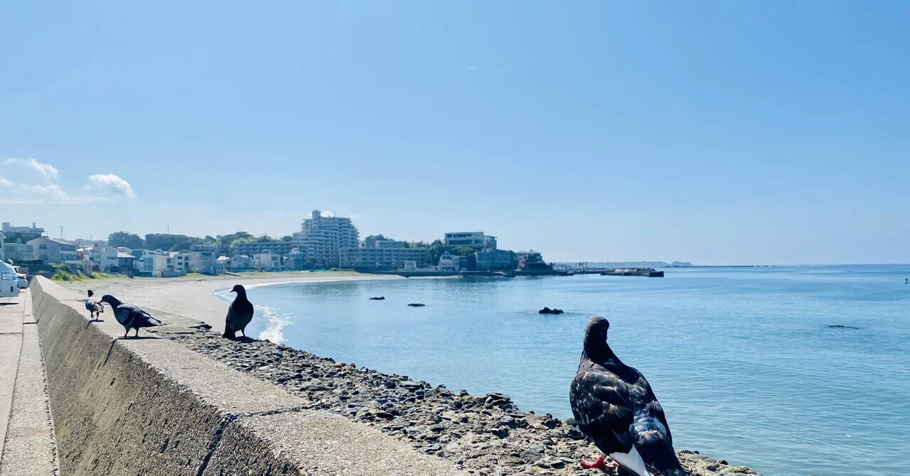 海の話】海の写真を撮り続けて、面白い楽しみ方をしていた私の話｜Nagiko