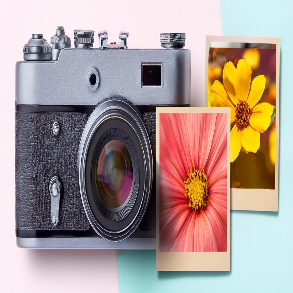 X-T5】秋の撮影、ノスタルジックネガとクラッシックネガではどちらが