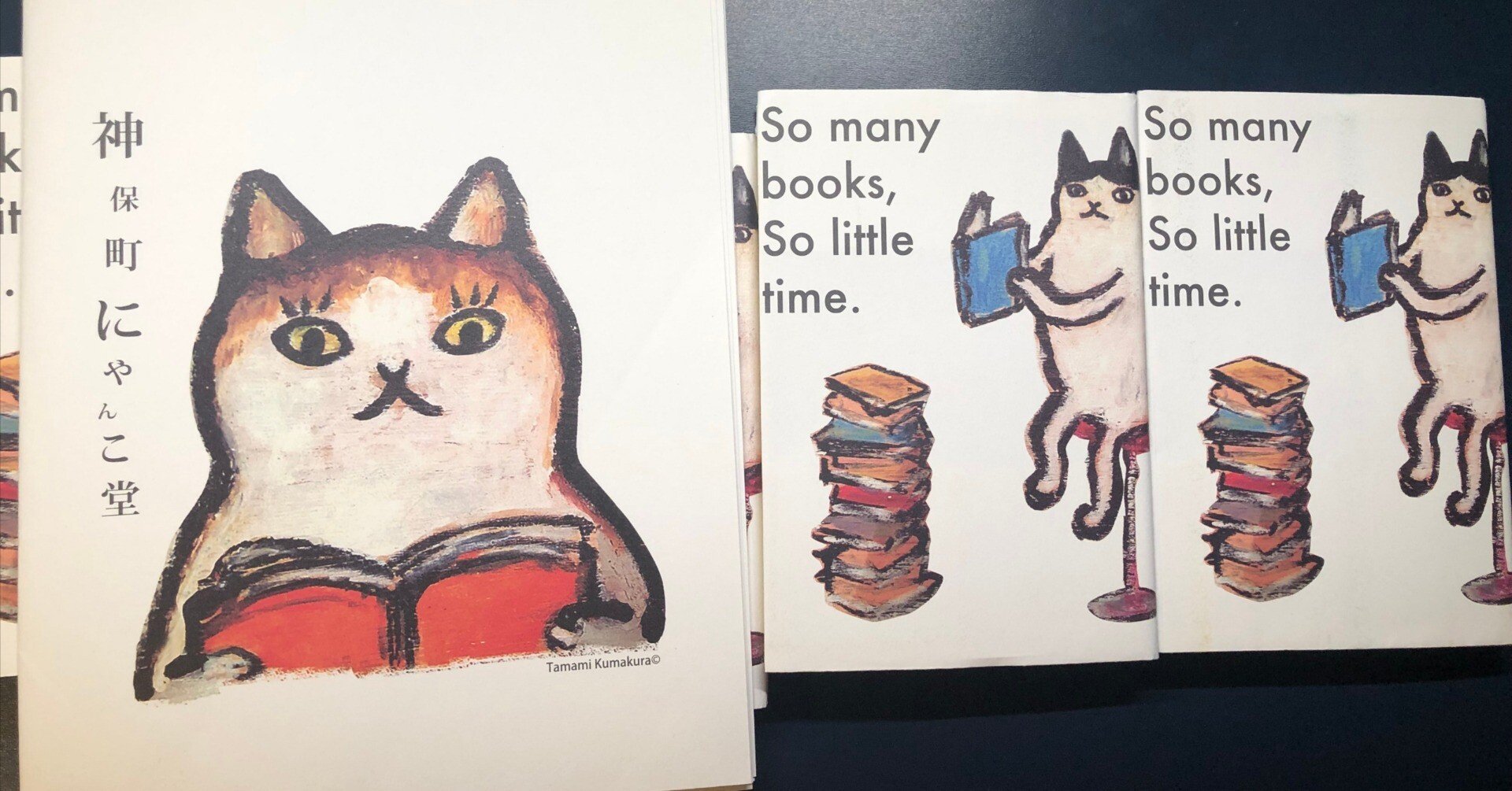 猫本専門のあの本屋さんを紹介しましょう！猫本専門 神保町にゃんこ堂