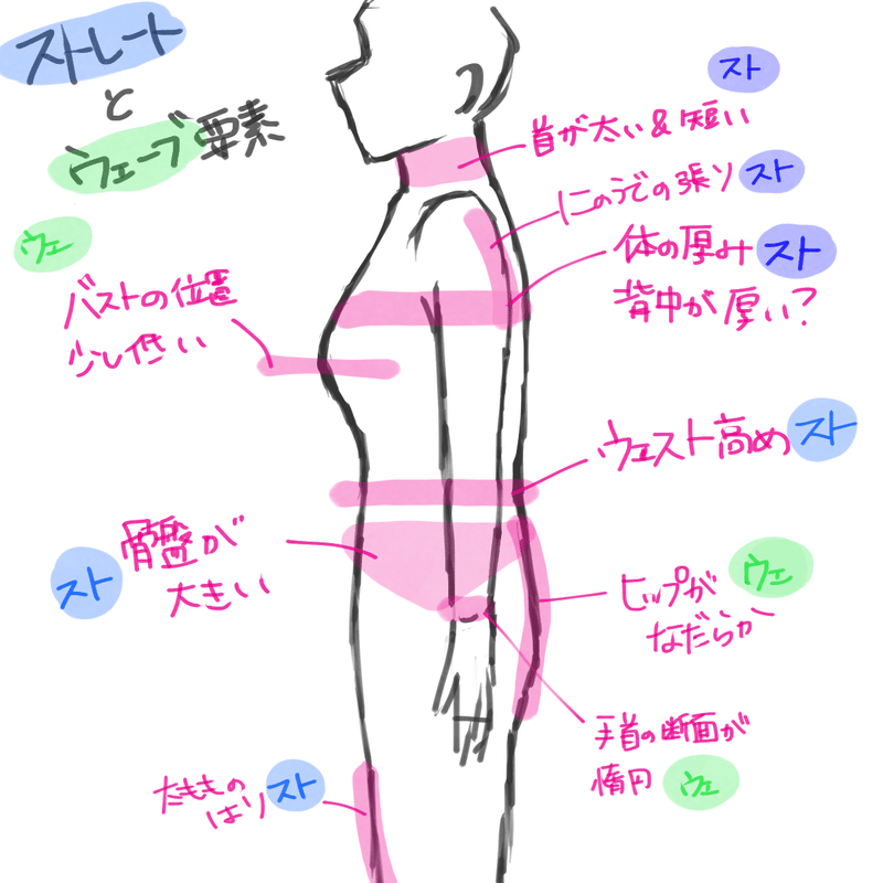 骨格の話 実践検証 木野 Note 骨格の話 実践検証 木野 Note
