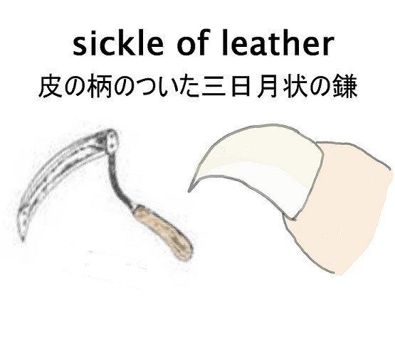 深読み　ライフ・オブ・パイ　sickle of leather