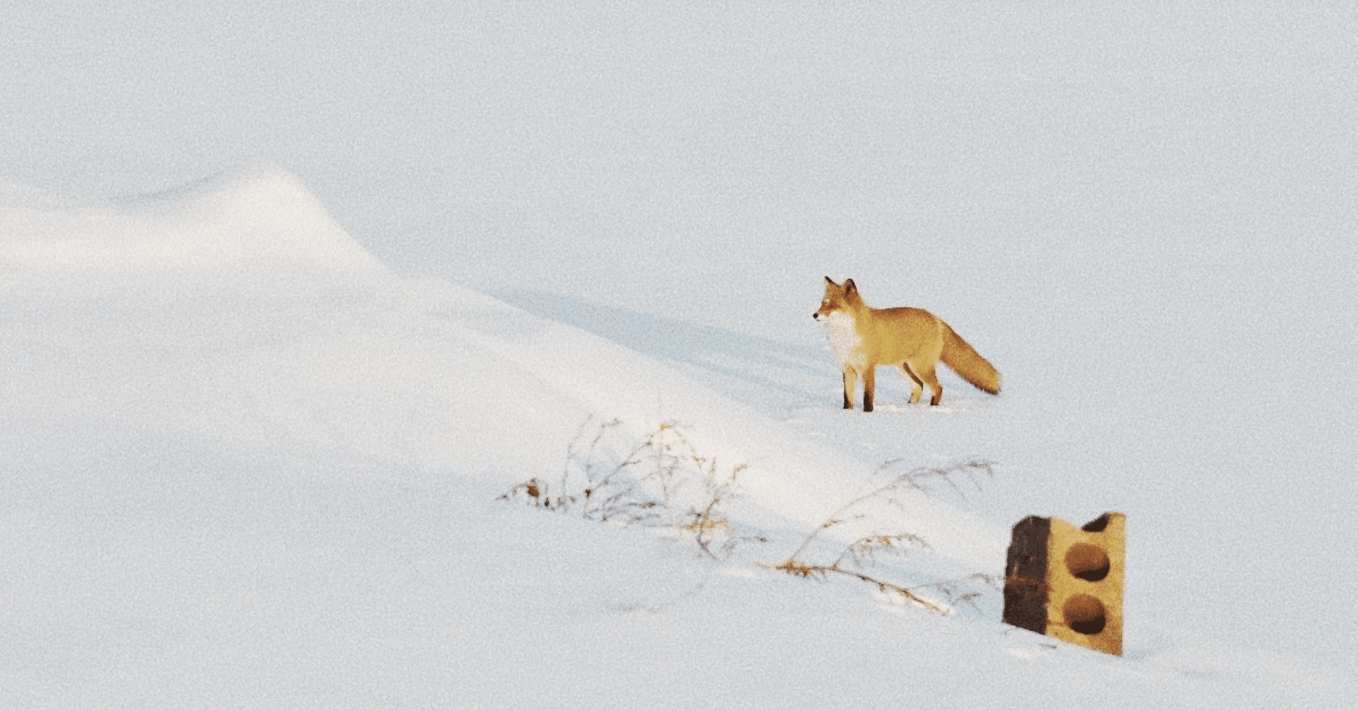 アジアン モンゴル ナイフの模造 2点 まとめ アンティーク アジアン