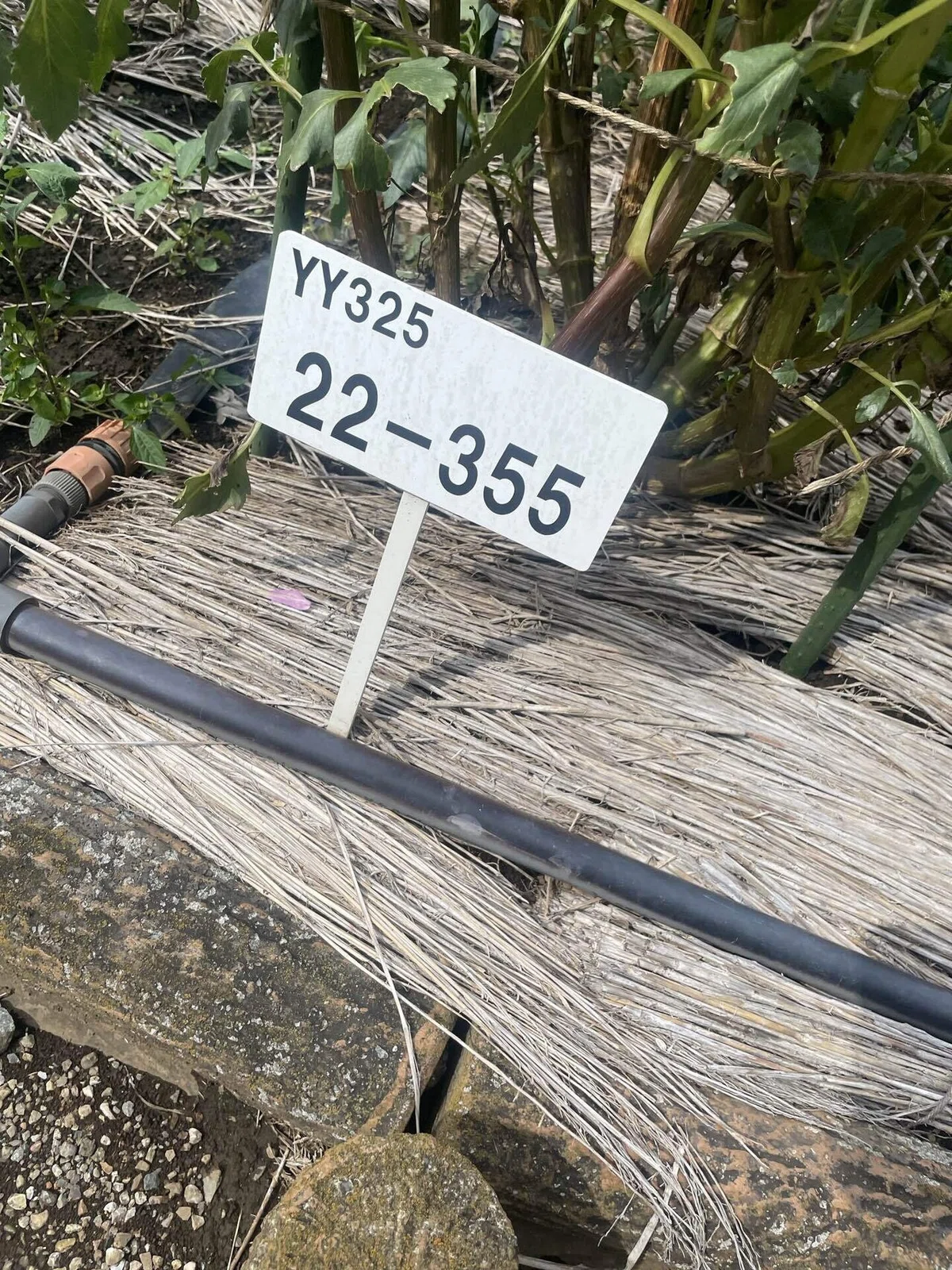 22-355