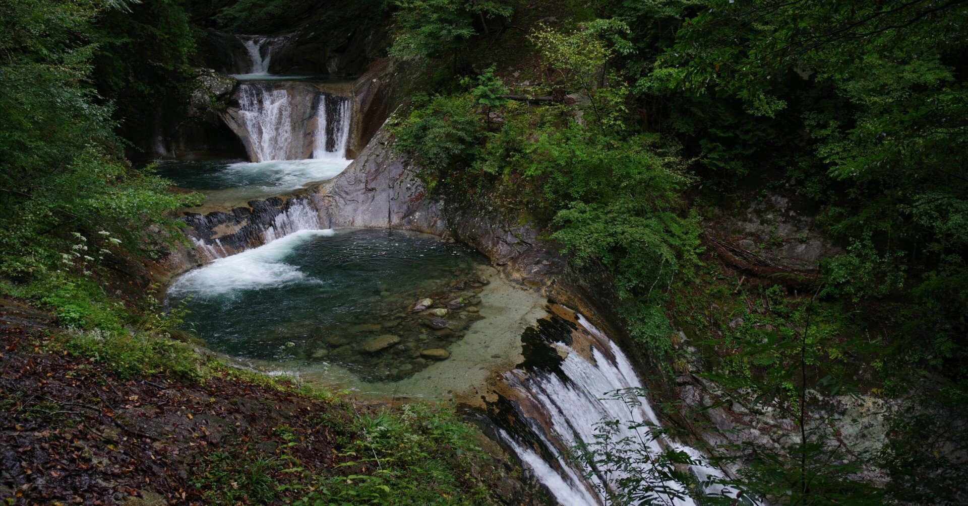 80a1af46848e8d6098f46ef79a7c1f