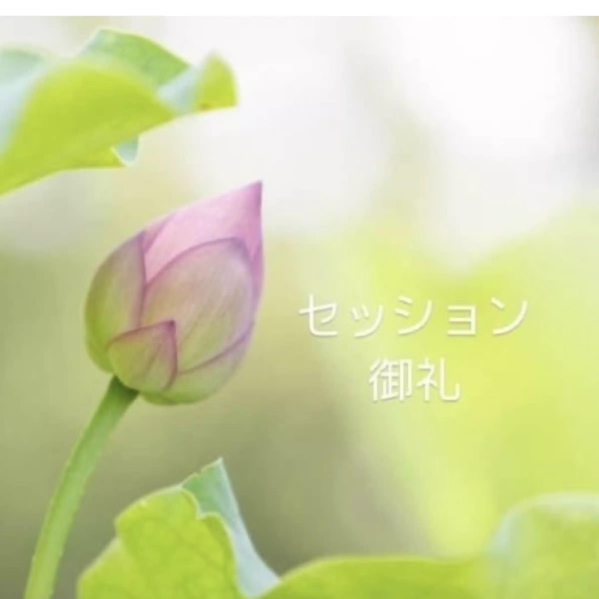 PUARITYS _OKINAWA