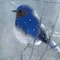 青鳥文鳥