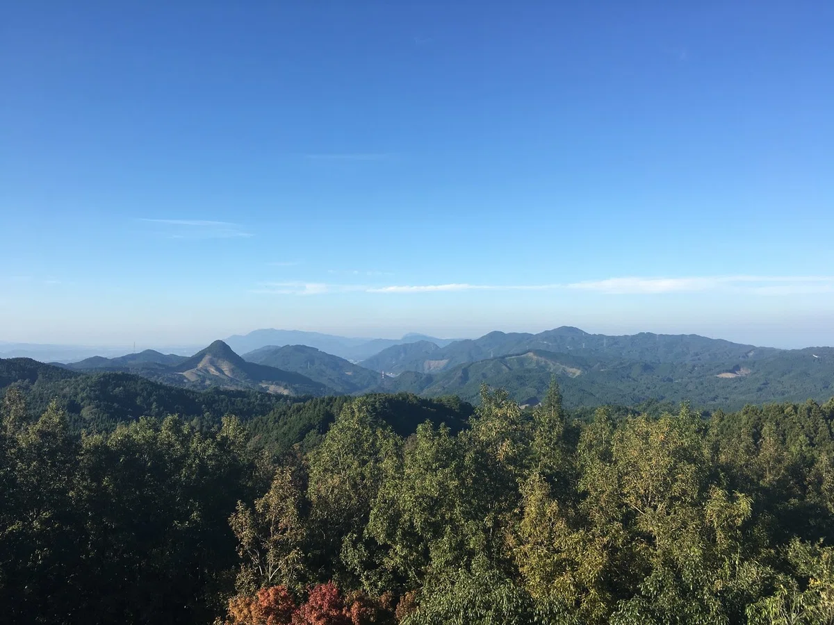 画像1