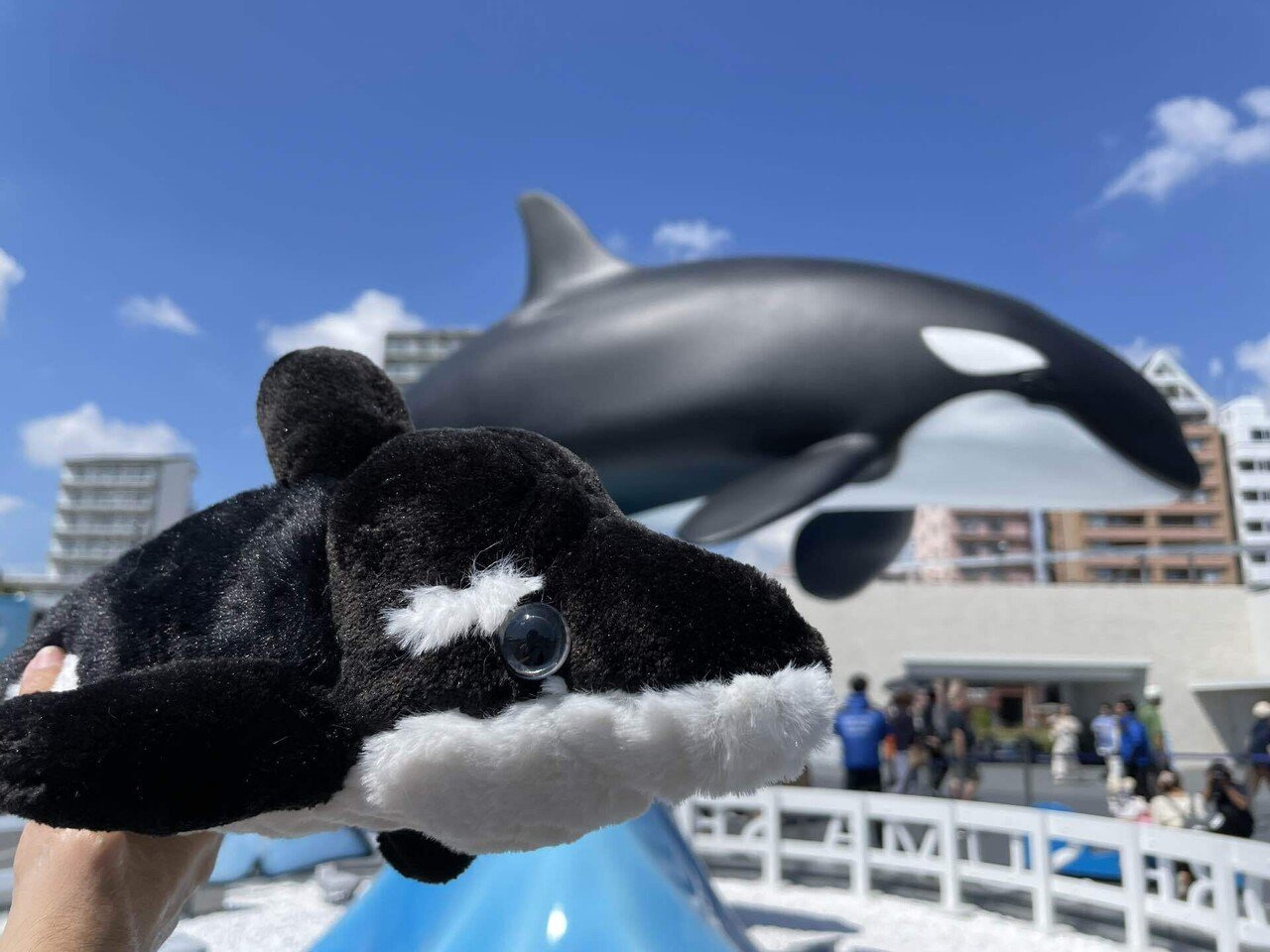 せっかく行くなら、シャチ作ろ。｜星野灯