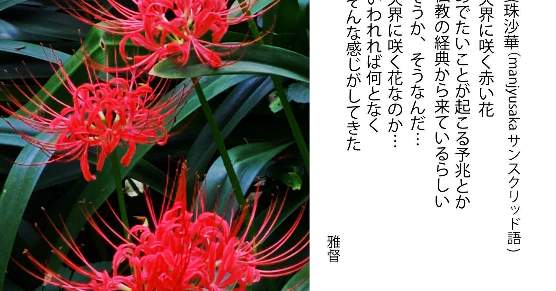 8e2b2a13feef13c31da9b764cc598c