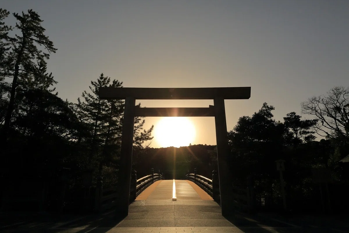 画像7