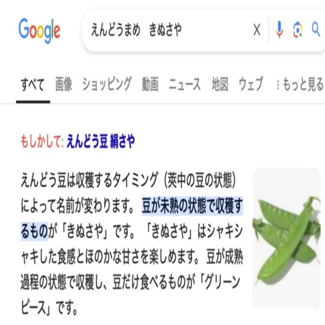 絹さやさんありがとうございます❣️ 連載126 2024年9月のエッセイ「絹さやがない！？」｜KosaNob