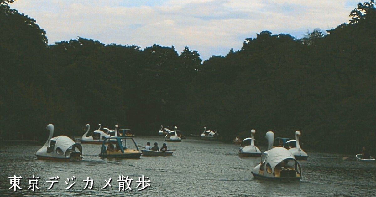 野鳥たちのいる風景 2024.09.22 sun. 東京都武蔵野市。|michio 野鳥たちのいる風景 2024.09.22 sun. 東京都武蔵野市。|michio