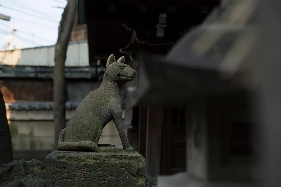 画像7