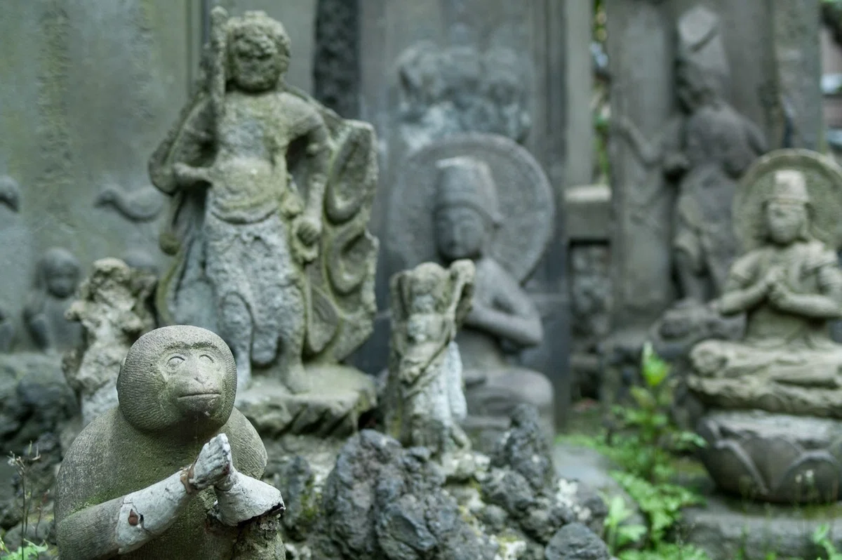 画像9