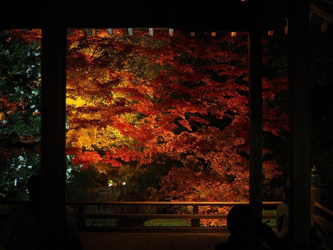 昨年の紅葉を振り返る 2 料理旅館 花楽 Note